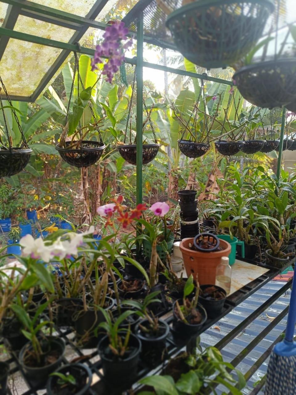 Chaithritha Ladies Homestay Thiruvananthapuram Exteriör bild
