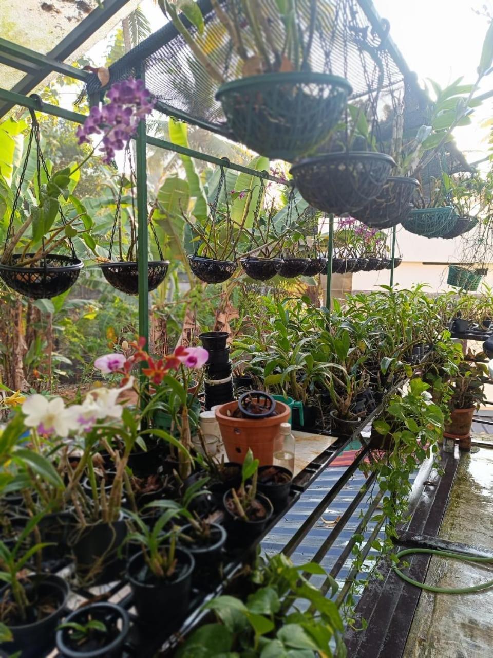 Chaithritha Ladies Homestay Thiruvananthapuram Exteriör bild